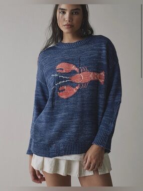 BDG Kurt Lobster distressed sweater